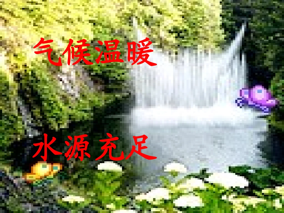 台湾的蝴蝶谷课件_第2页