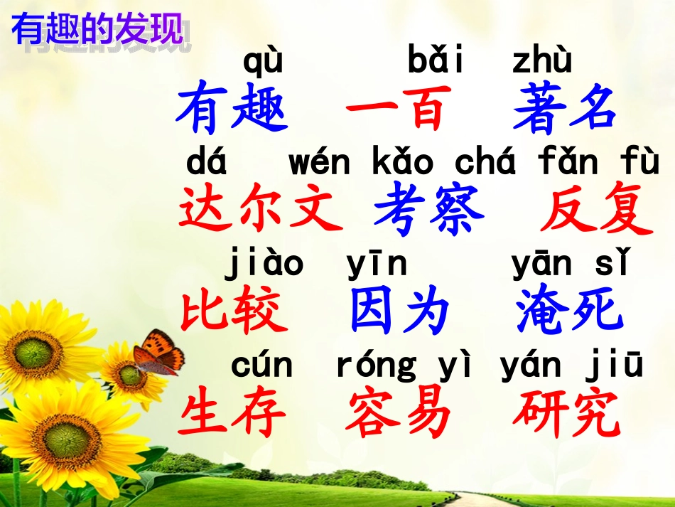 7有趣的发现_第3页