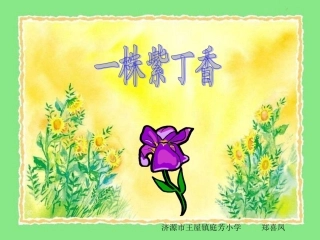 5、一株紫丁香.