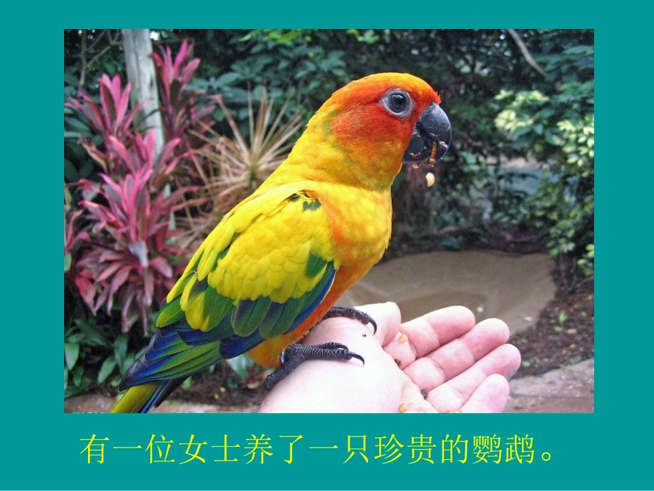 正人先正己15页-带背景音乐人生激励哲理人生领悟ppt幻灯片投影片课件精品专题素材_第2页