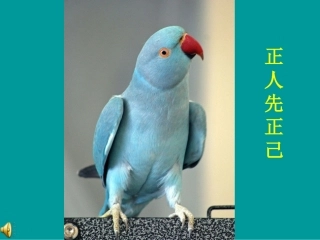正人先正己15页-带背景音乐人生激励哲理人生领悟ppt幻灯片投影片课件精品专题素材