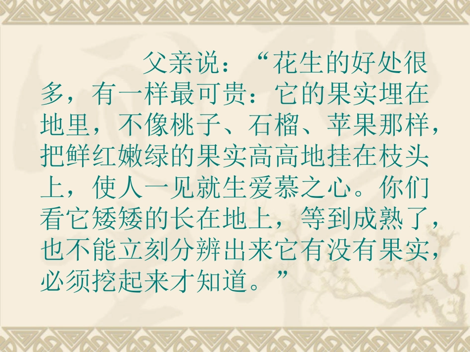 15----落花生_第3页