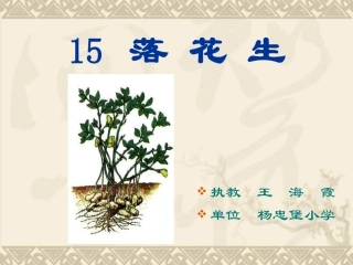 15----落花生