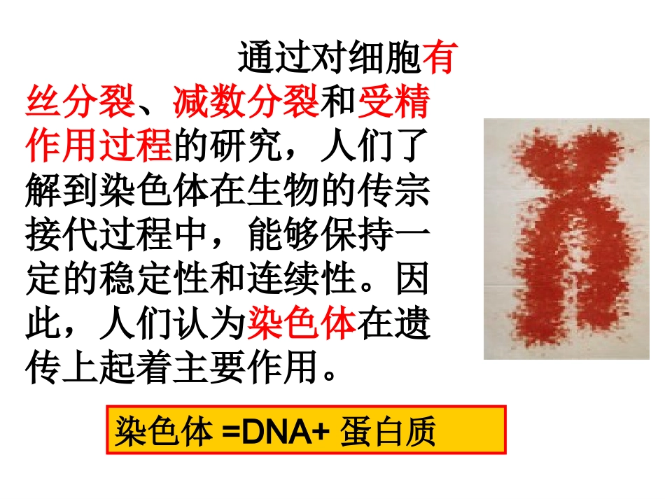 3.1《DNA是主要的遗传物质》课件14_第3页