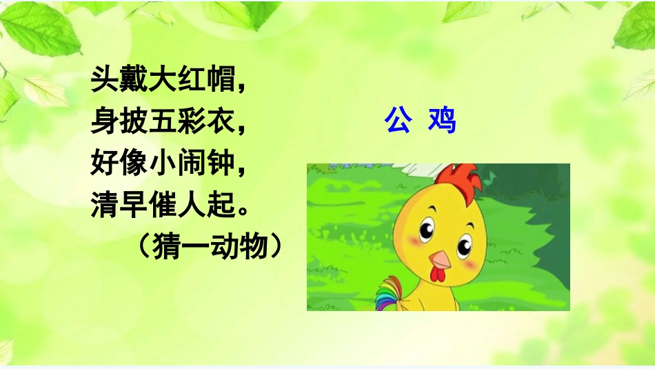 (部编)人教语文2011课标版一年级下册5-小公鸡和小鸭子-(2)_第3页