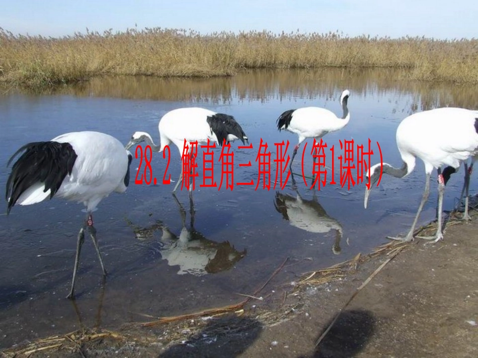 九年级数学-28.2-解直角三角形1-课件人教版_第1页