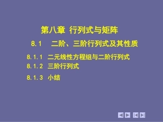 08第8章--行列式与矩阵