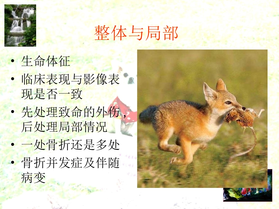 颅底及颅面骨骨折的相关影像问题_第3页