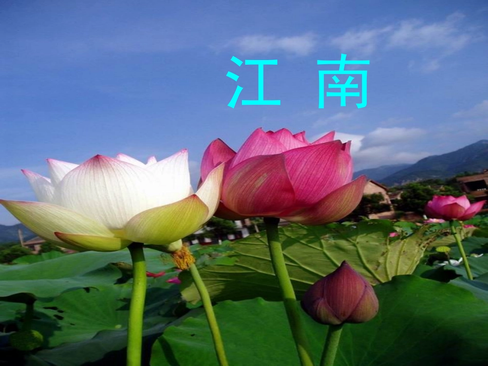 (部编)人教2011课标版一年级上册第一学时_第1页