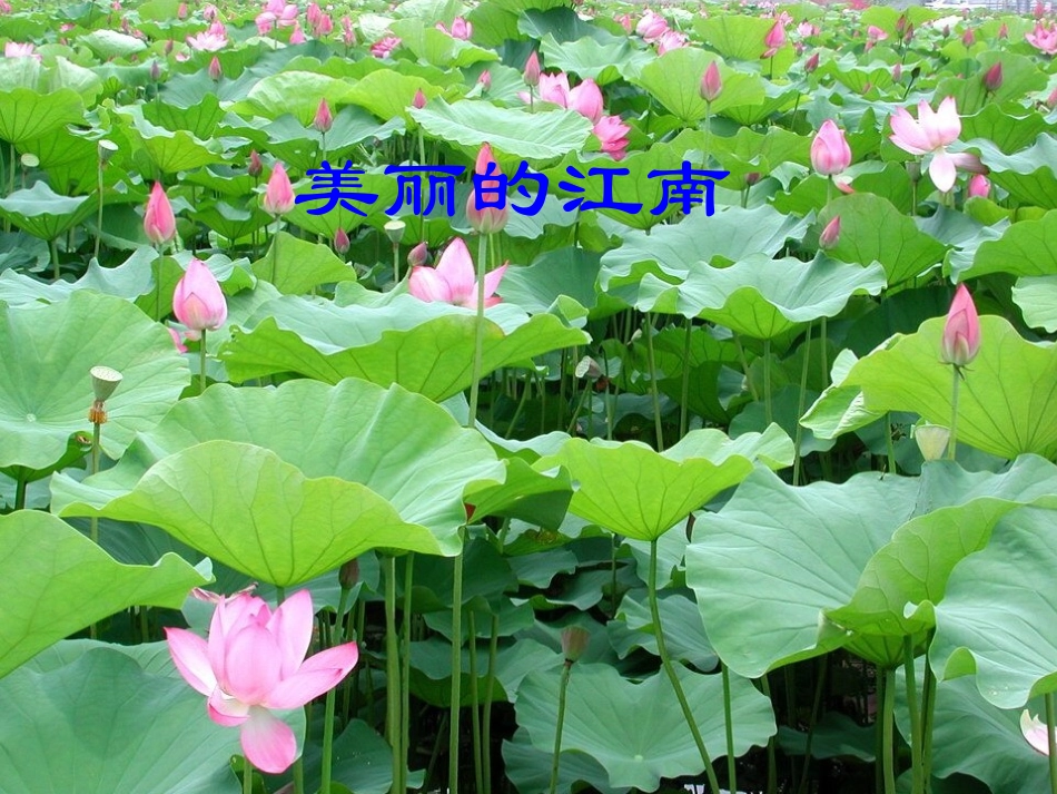 (部编)人教2011课标版一年级上册第一学时_第3页