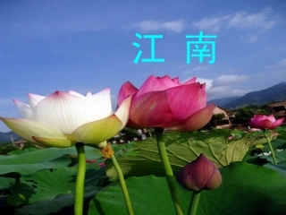 (部编)人教2011课标版一年级上册第一学时