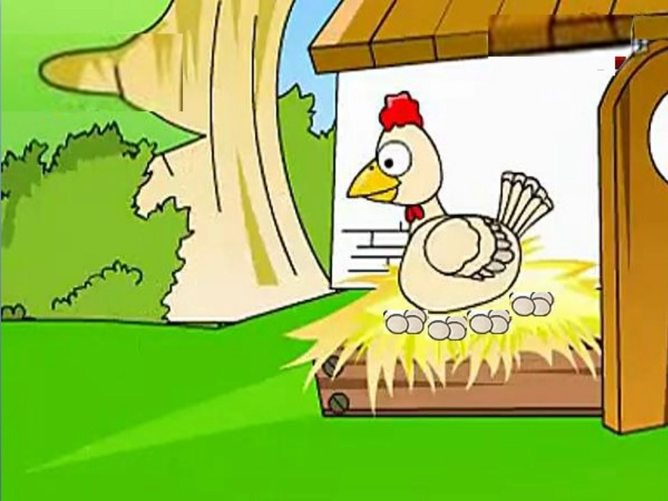 人美版小学二年级下册美术课件《出壳了》课件_第3页