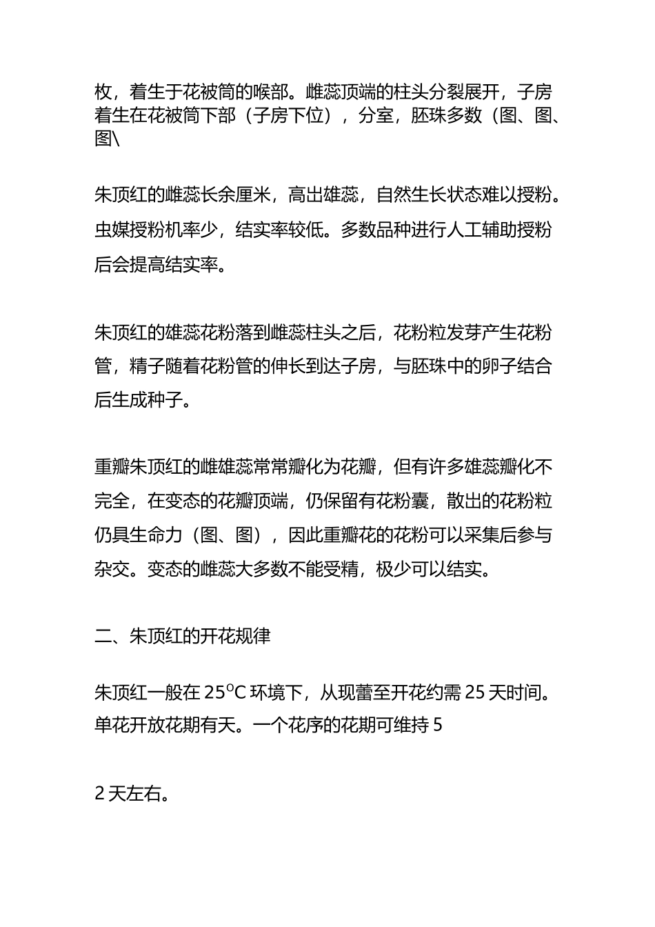 朱顶红杂交育种_老圃负笈_第2页
