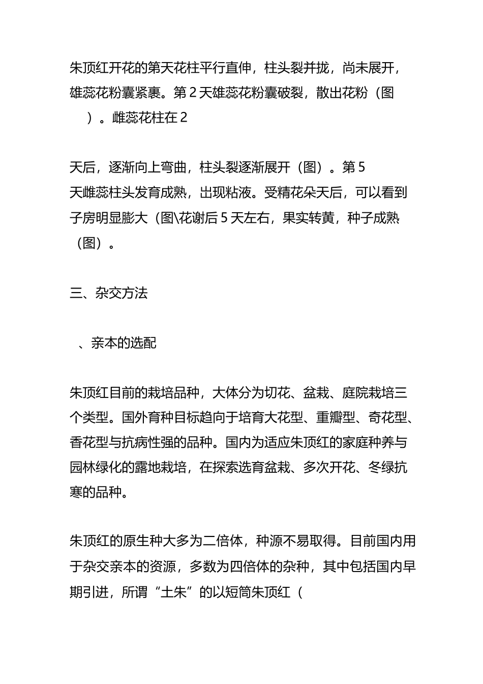 朱顶红杂交育种_老圃负笈_第3页