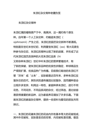 朱顶红杂交育种_老圃负笈