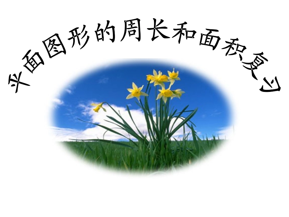 平面图形的面积与周长复习2_第1页