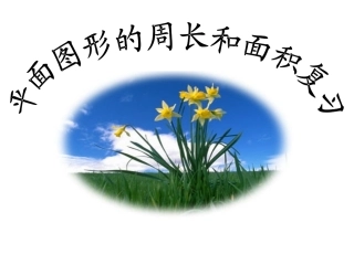 平面图形的面积与周长复习2
