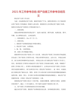 2024年工作参考总结-资产自查工作参考总结范文 