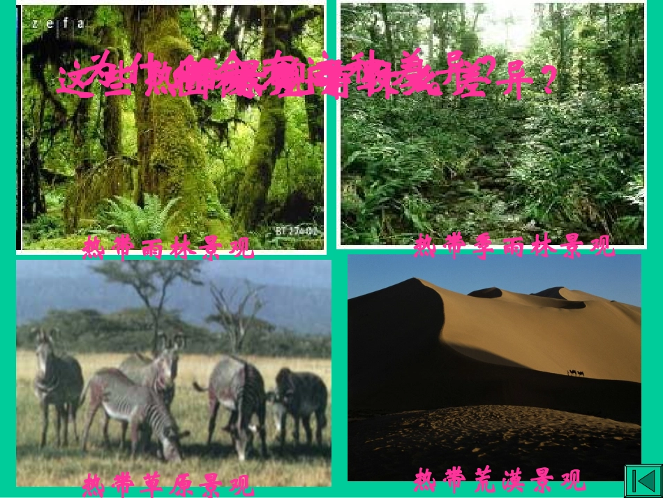 第四章第四节世界主要气候类型_第3页