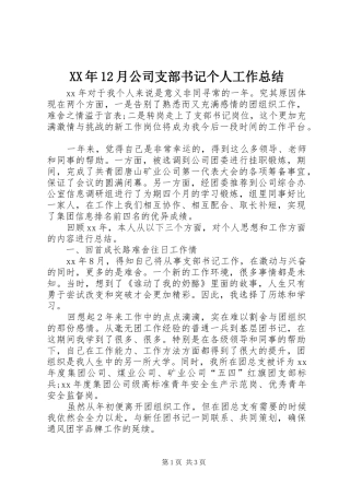 XX年12月公司支部书记个人工作总结