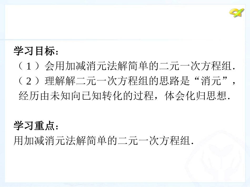 解二元一次方程组(3)_第3页