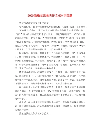 2024致敬抗洪救灾作文600字四篇 