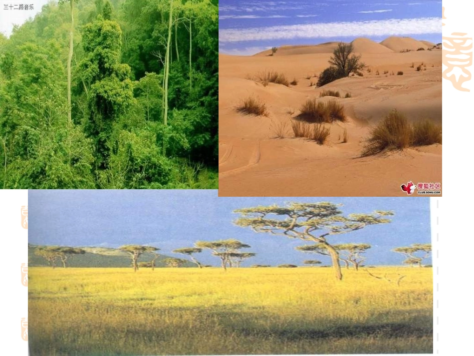 七年级地理降水和降水分布._第2页