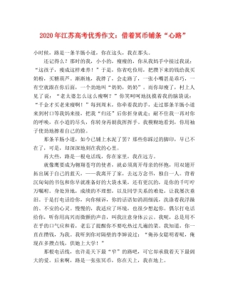 2024年江苏高考优秀作文借着冥币铺条“心路” 