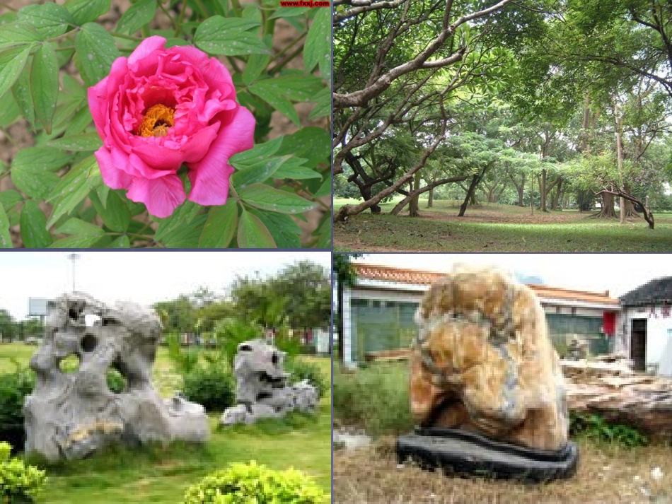 课堂生活中的立体图形_第3页