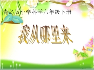 青岛版小学科学六年级下册《我从哪里来》课件