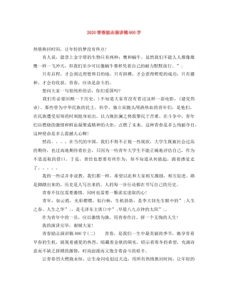 2024青春励志演讲稿800字 