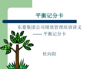 平衡记分卡(东菱)