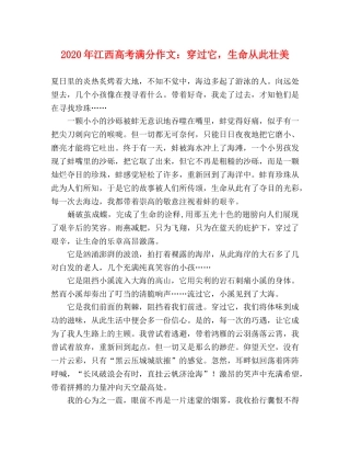 2024年江西高考满分作文穿过它，生命从此壮美 