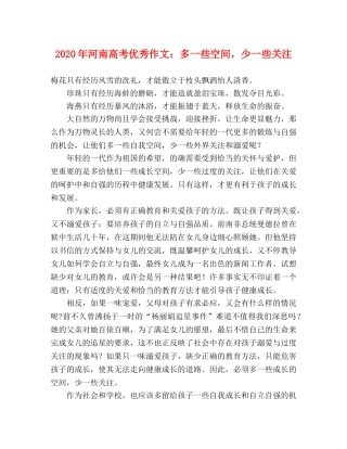 2024年河南高考优秀作文多一些空间，少一些关注 