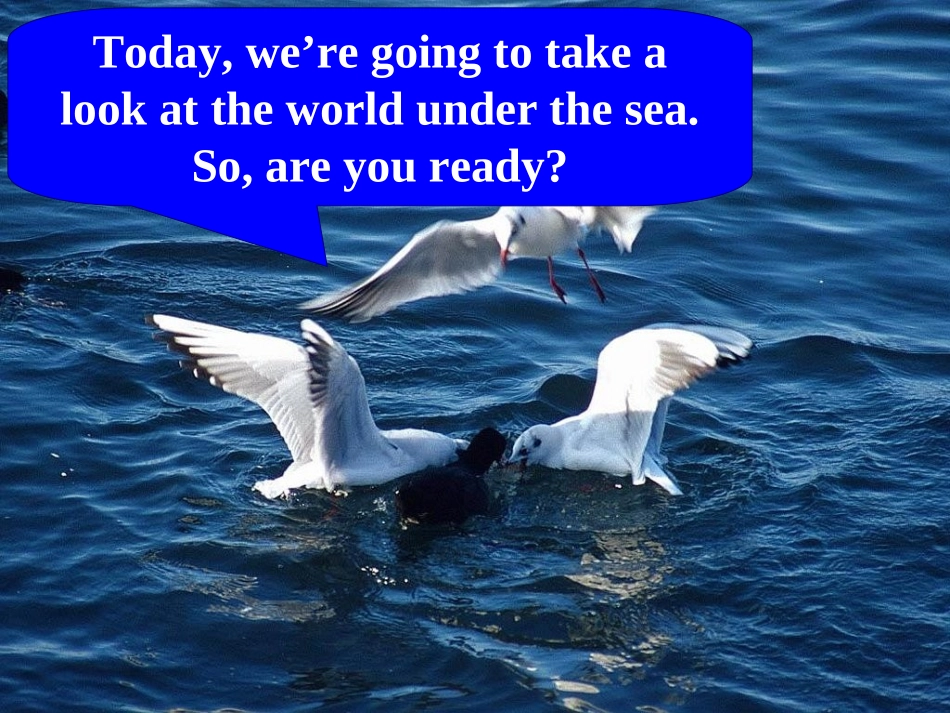 高中英语-U3P1-Warming-up课件-新人教版选修7_第2页