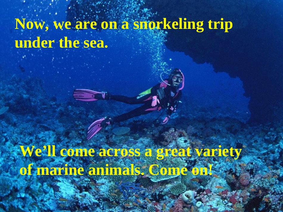 高中英语-U3P1-Warming-up课件-新人教版选修7_第3页