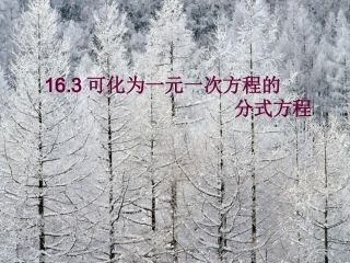 16.3可化为一元一次方程的分式方程-(2)
