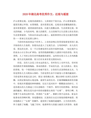 2024年湖北高考优秀作文近观与遥望 