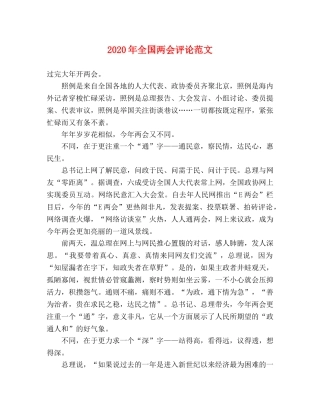 2024年全国两会评论范文 