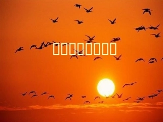 《橙色的画》课件03