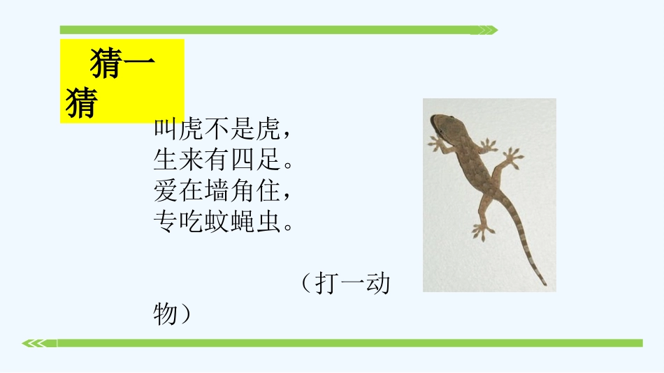 (部编)人教语文2011课标版一年级下册《小壁虎借尾巴》-(4)_第2页