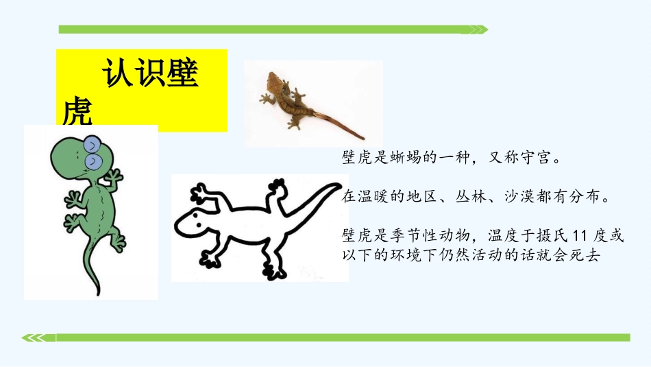 (部编)人教语文2011课标版一年级下册《小壁虎借尾巴》-(4)_第3页