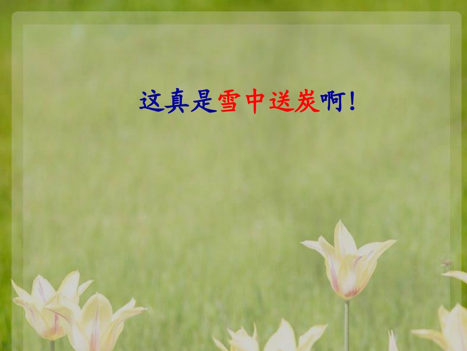 《再见了-亲人》-课件_第3页