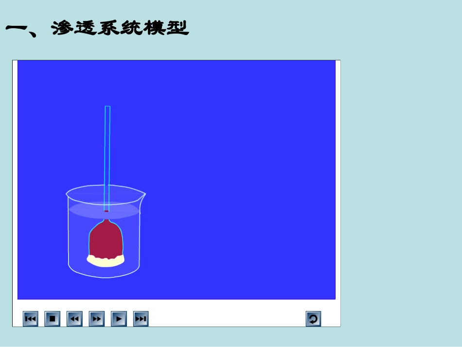 2564.1物质跨膜运输的实例_第2页