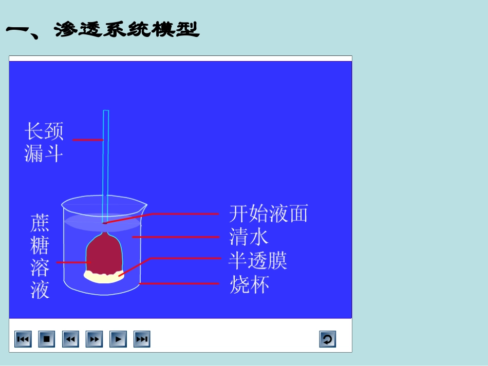 2564.1物质跨膜运输的实例_第3页