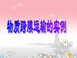 2564.1物质跨膜运输的实例