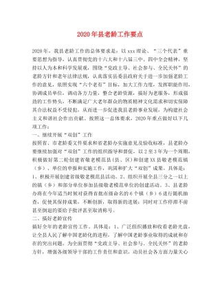 2024年县老龄工作要点 