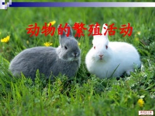 2.7.动物的繁殖活动.