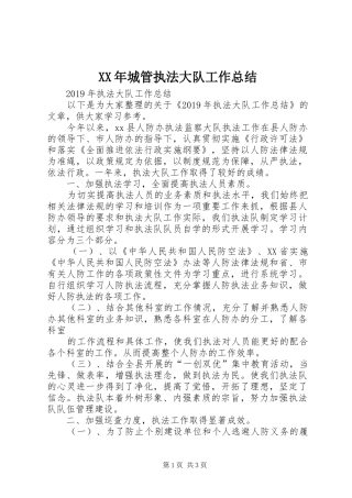 XX年城管执法大队工作总结