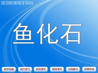 小学语文三年级课件-鱼化石-沪教版